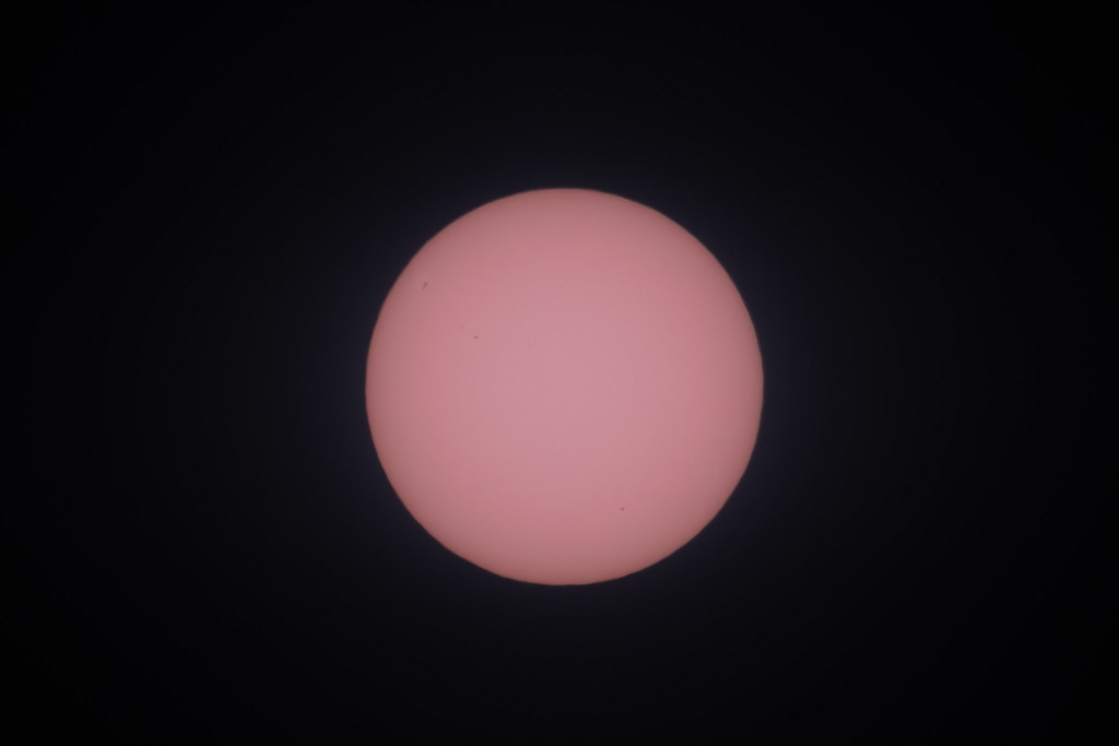 55467291211_499c8866b6_b.jpg