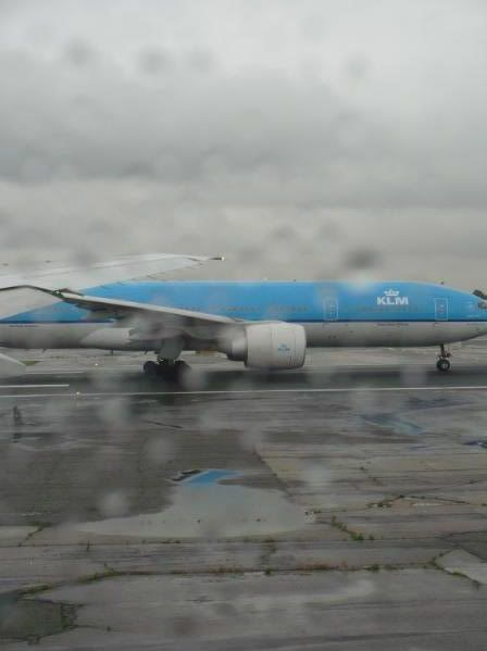 P1020148-1.jpg