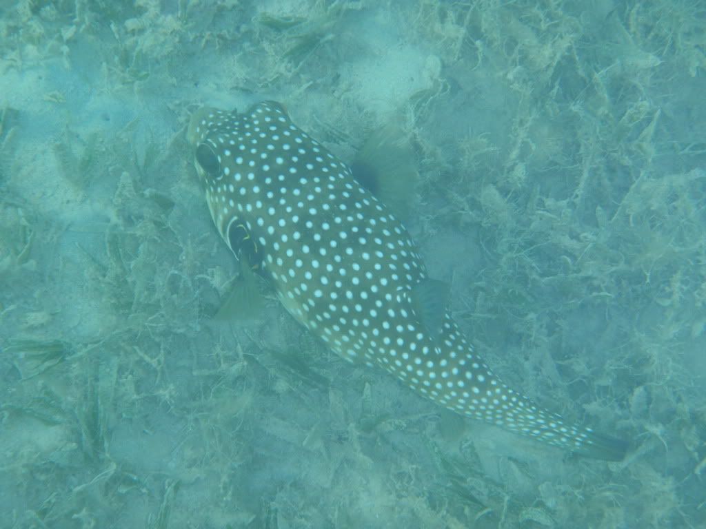 P4020169.jpg