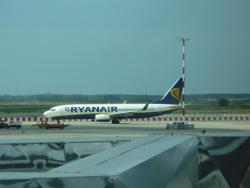 P1010655.jpg