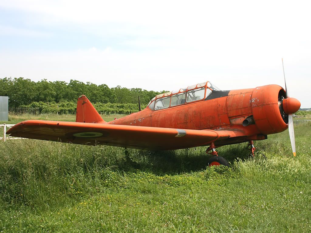 prova-1.jpg