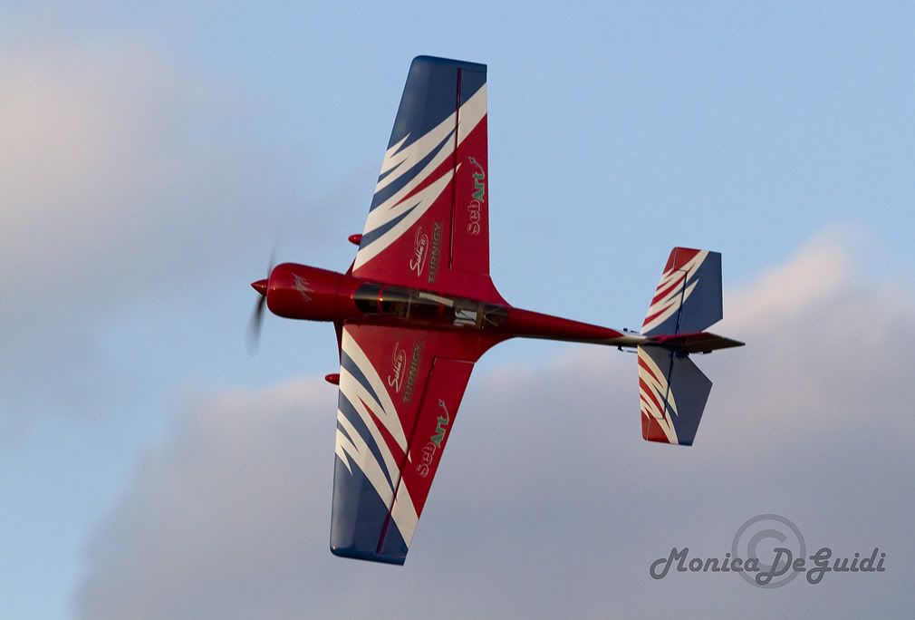 IMG_8650.jpg