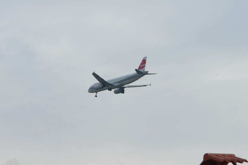DSC02023.jpg