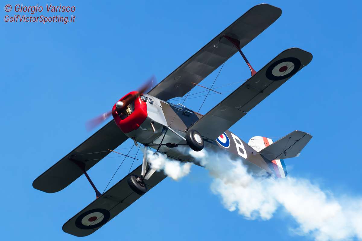 _MG_7463_290625.jpg