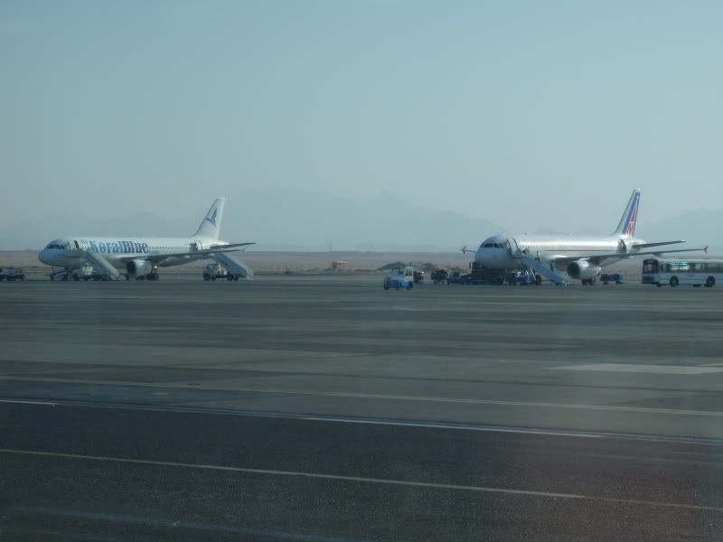 P4191133.jpg