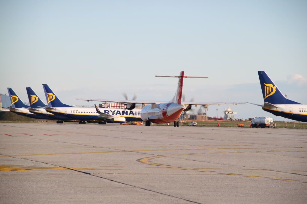 IMG_3669.jpg