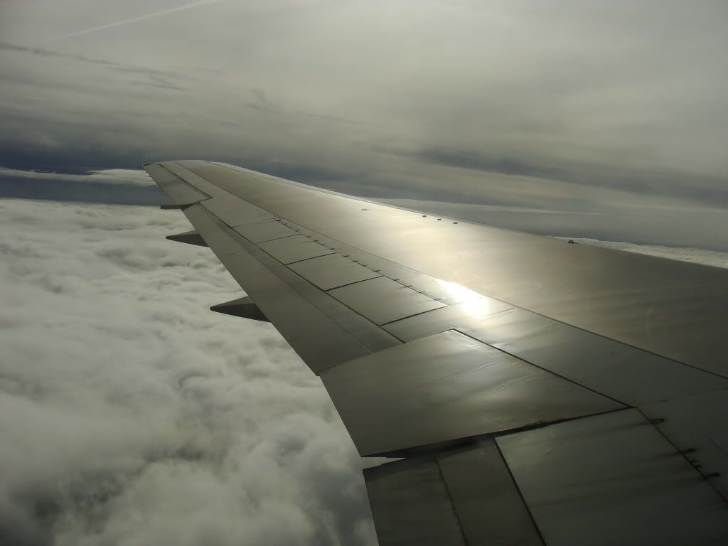 DSC09848.jpg