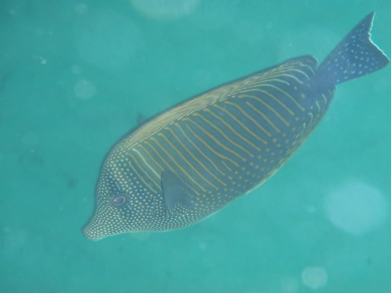 P4130533.jpg