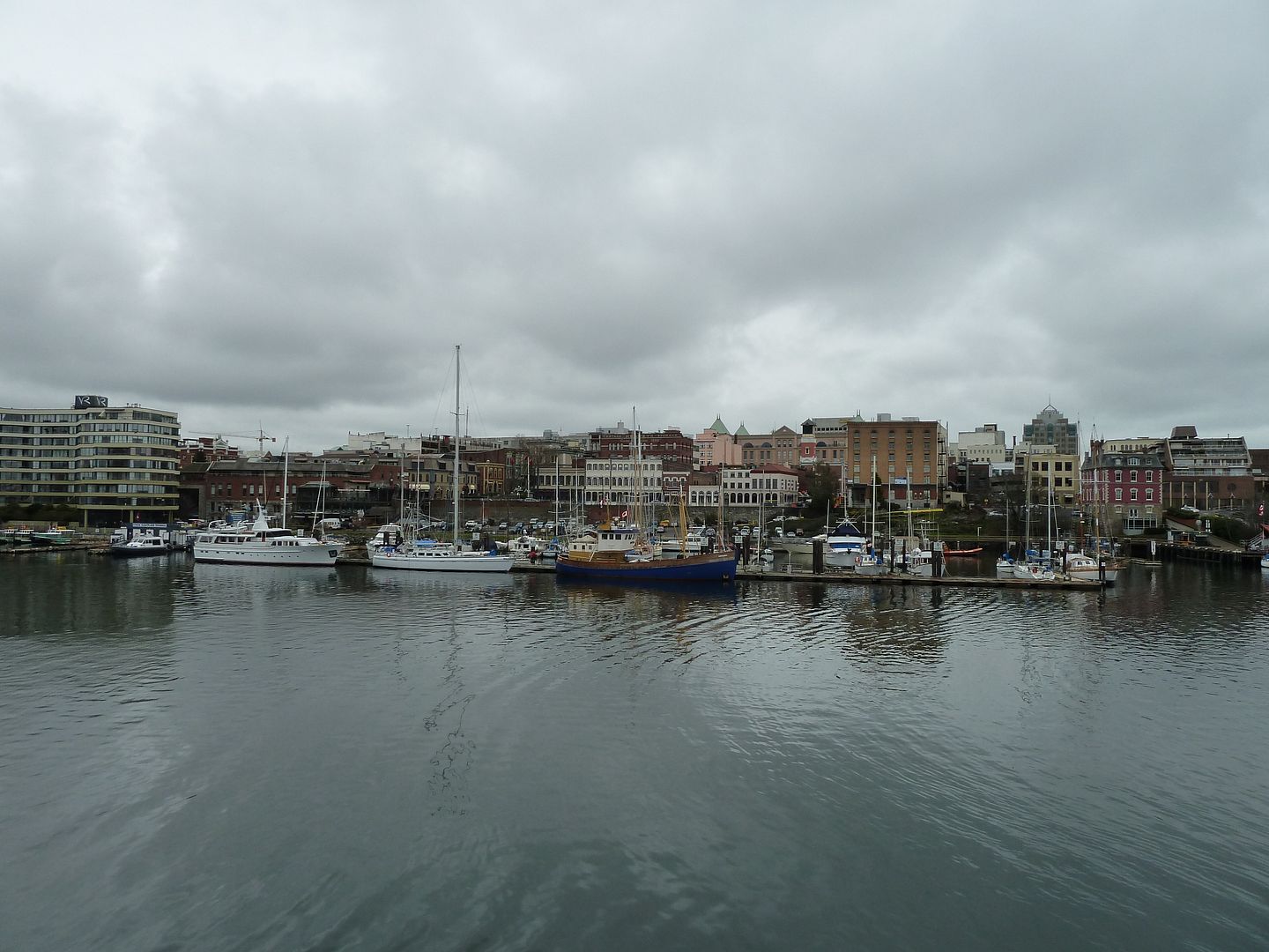 P1020101.jpg