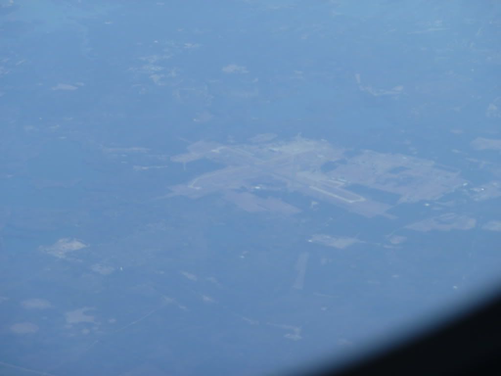 P1000331.jpg