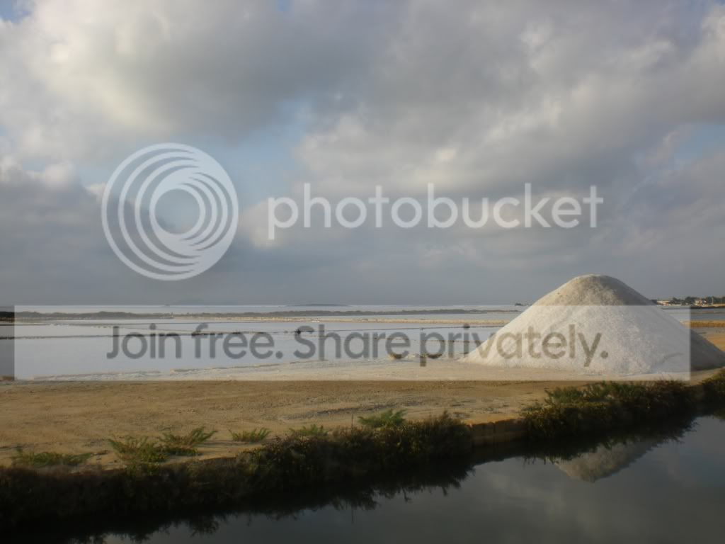 resized_Trapani314.jpg