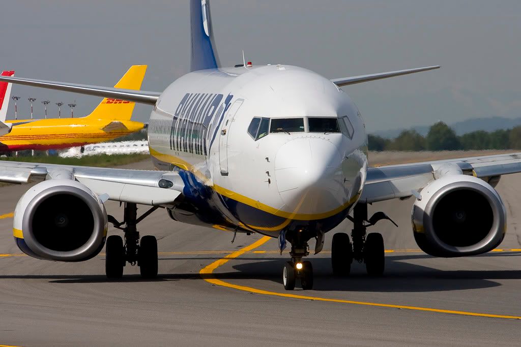 EI-DLLb.jpg