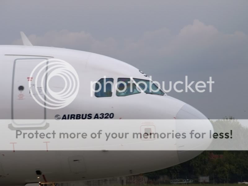 EI-DSIcloseuptaxiYgreynose.jpg