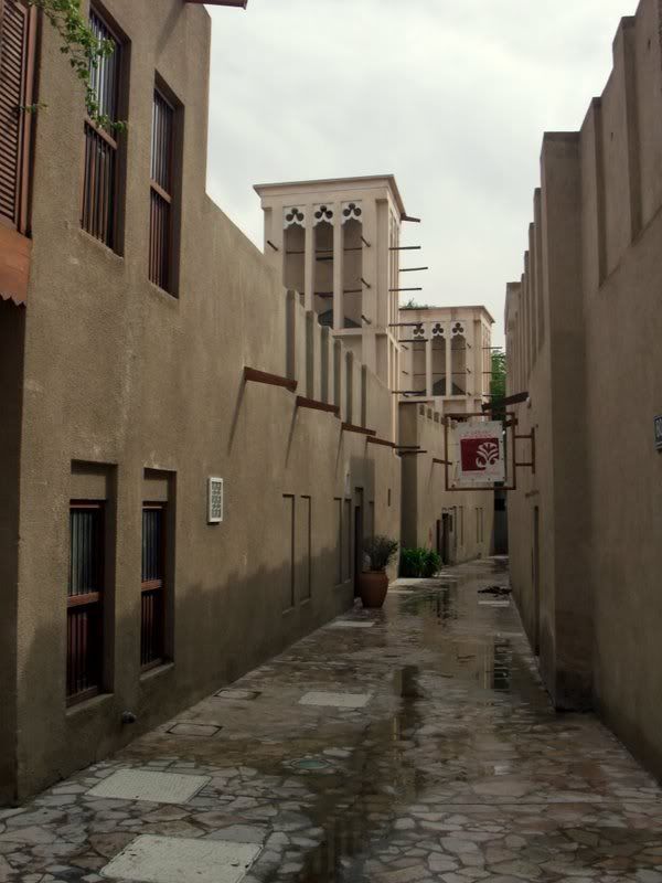 DSCF8441.jpg