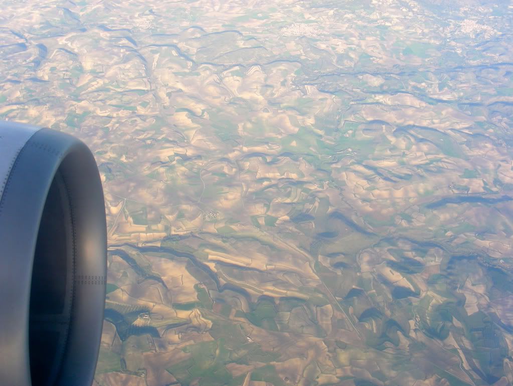 DSCN8238.jpg