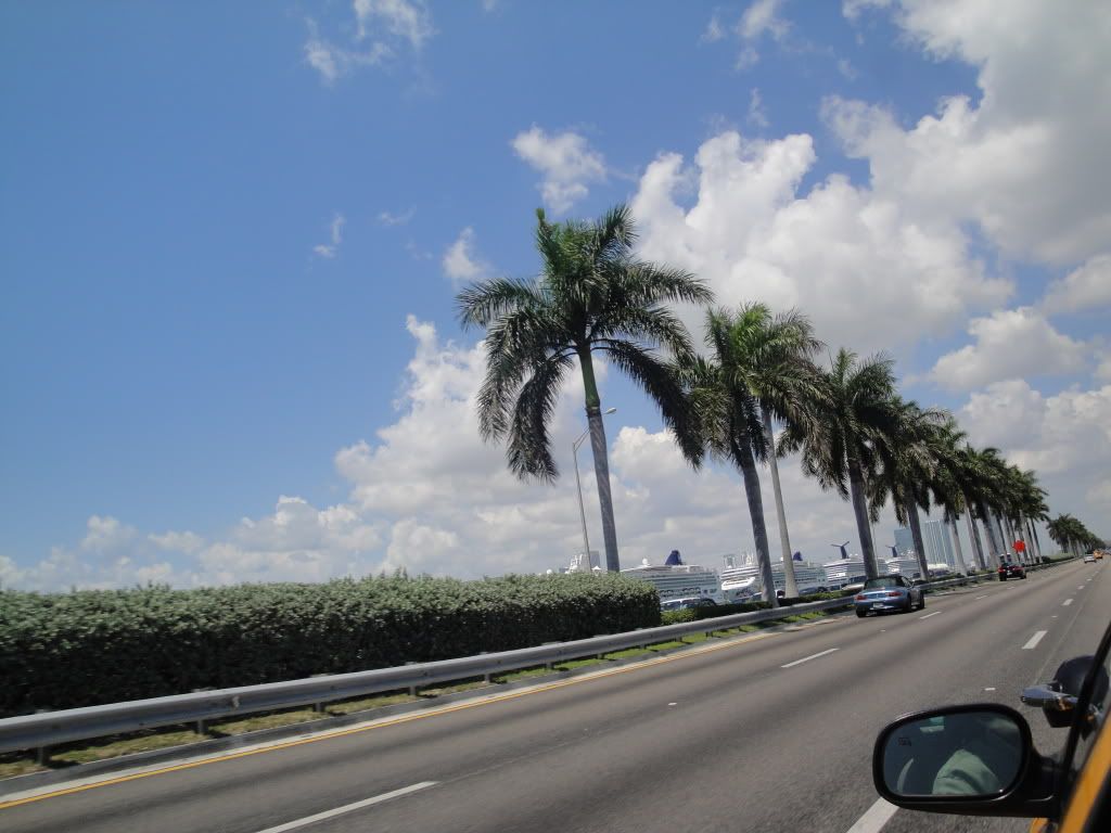 DSC05450.jpg