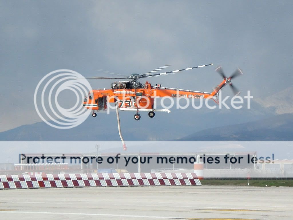 CIMG1449.jpg