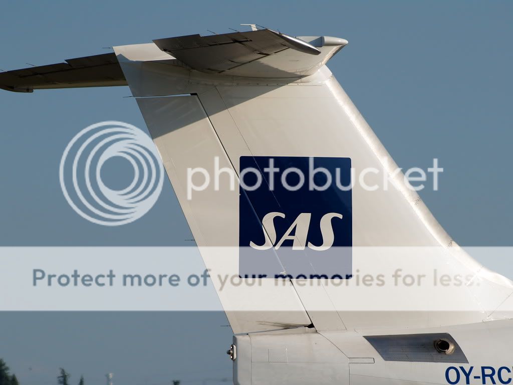 AM239555.jpg