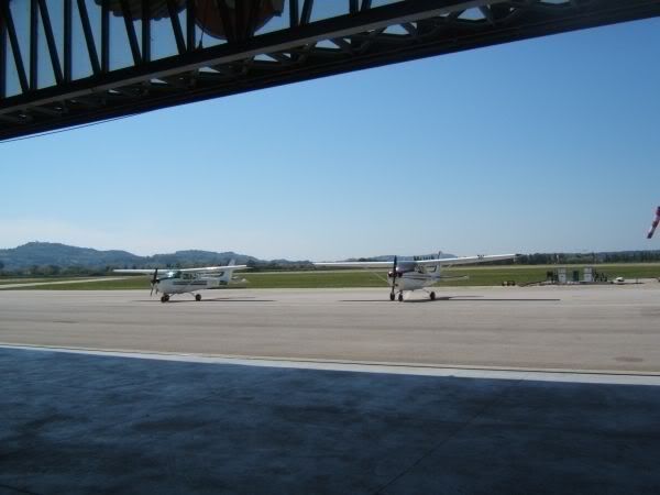 82385d68.jpg