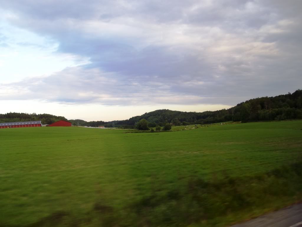 IMGP2708.jpg