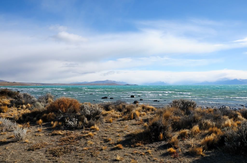 DSC_1647.jpg