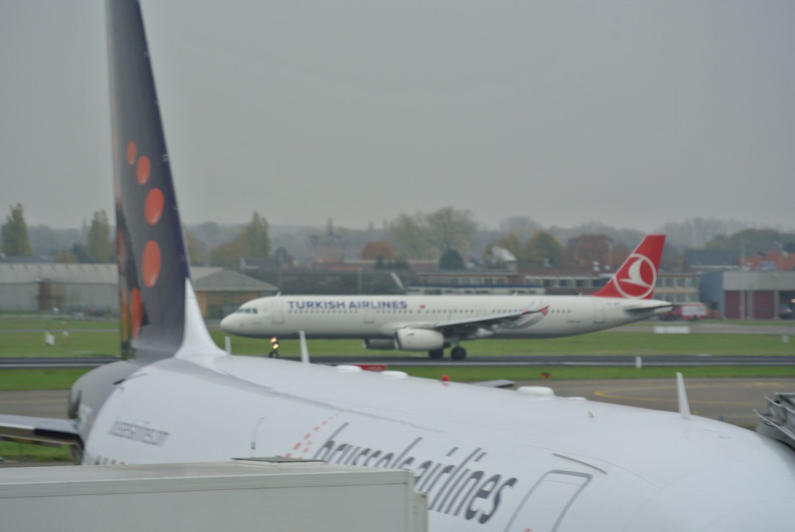 DSC_1442.jpg