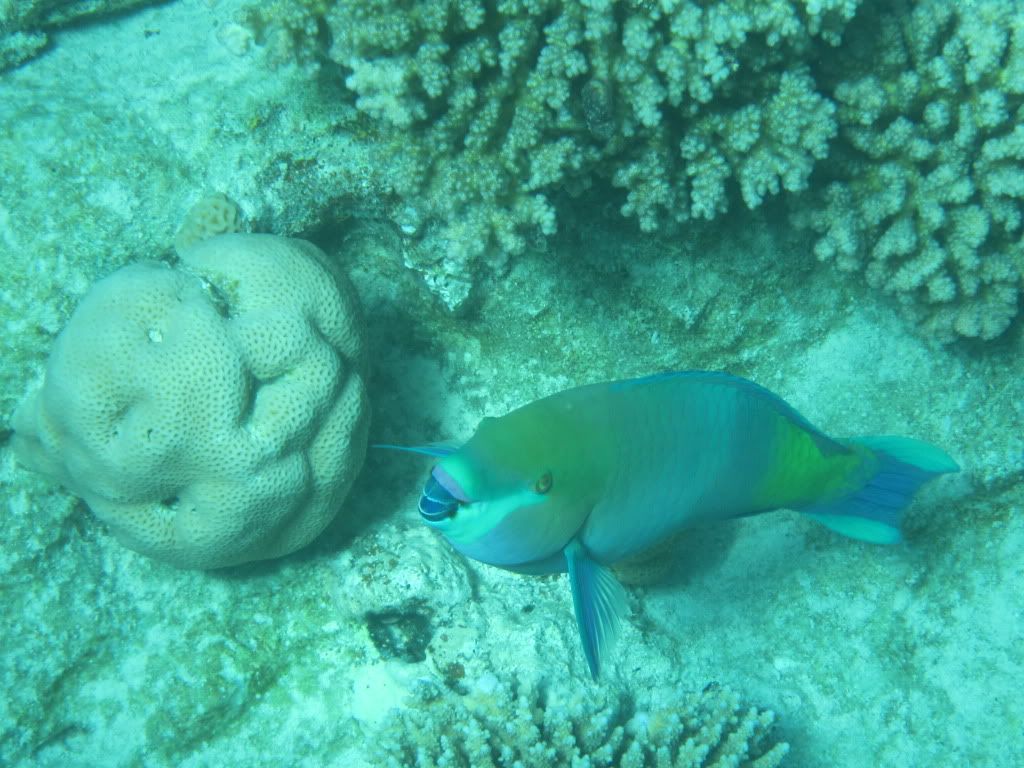 IMG_2125.jpg