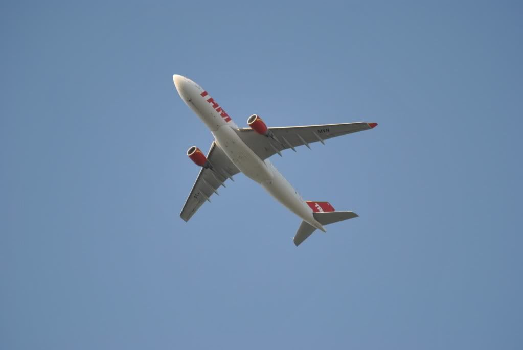 DSC_0293.jpg