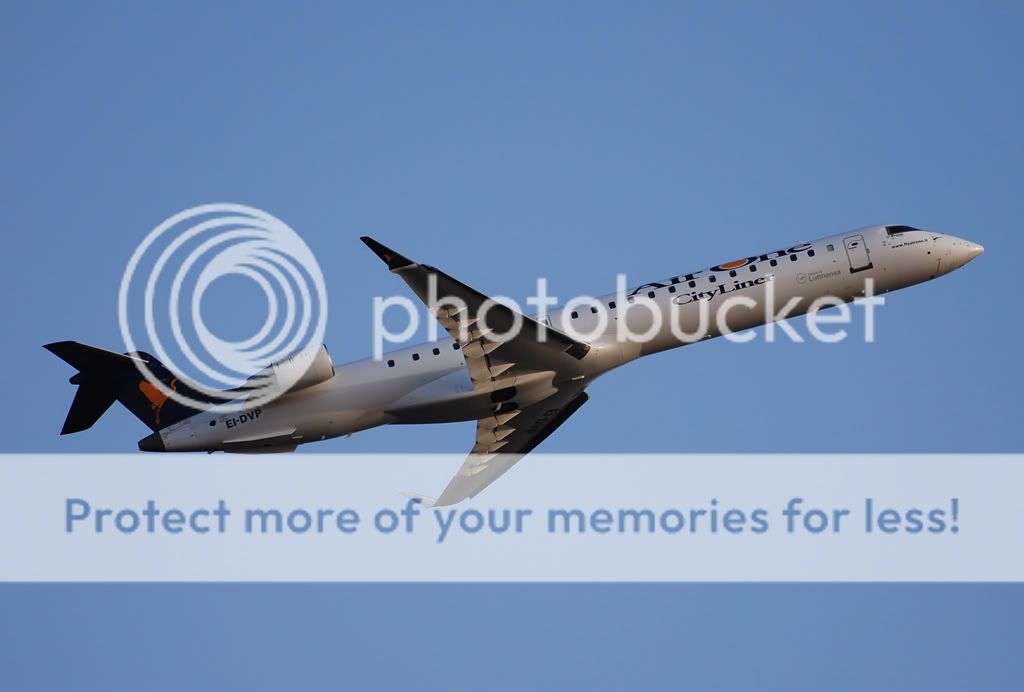 EI-DVP.jpg