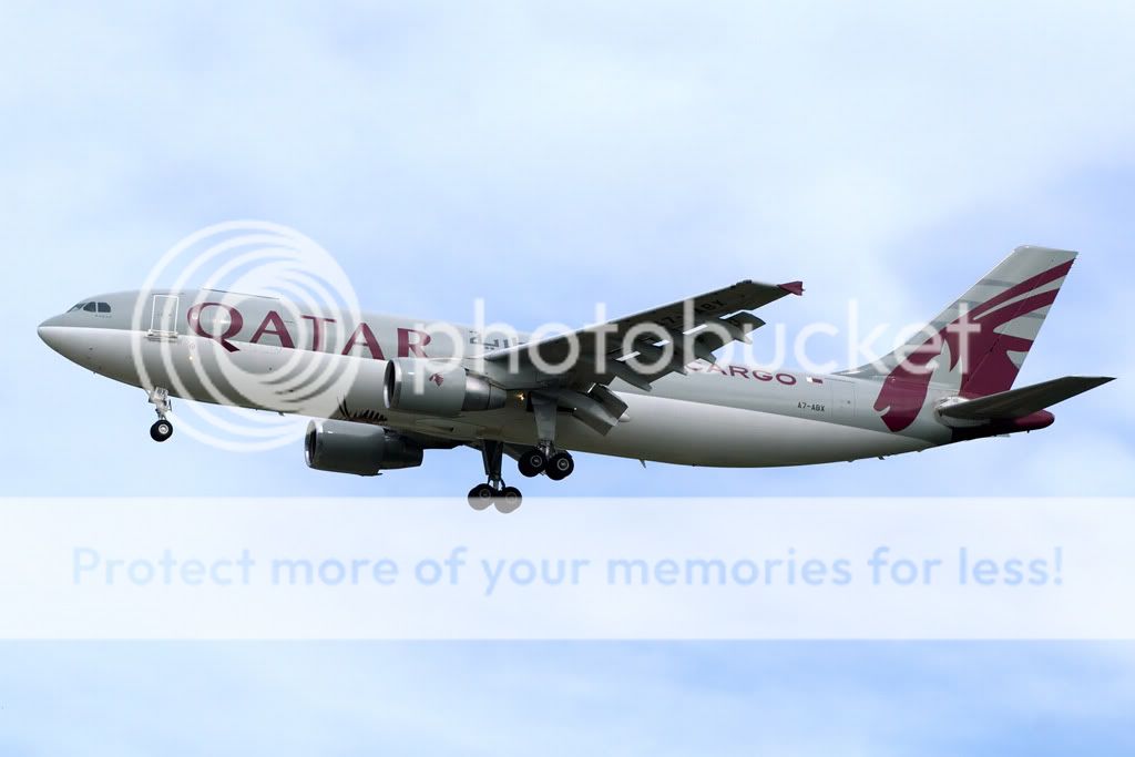 Qatar.jpg
