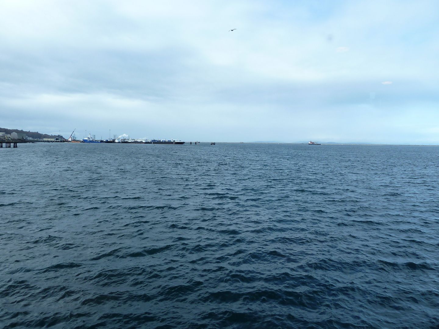 P1020281.jpg