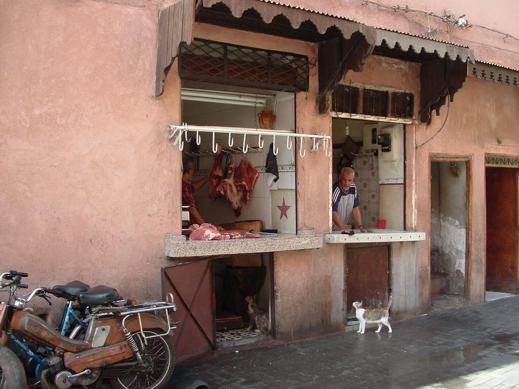 DSCF0095.jpg