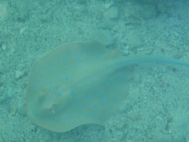P4130483.jpg