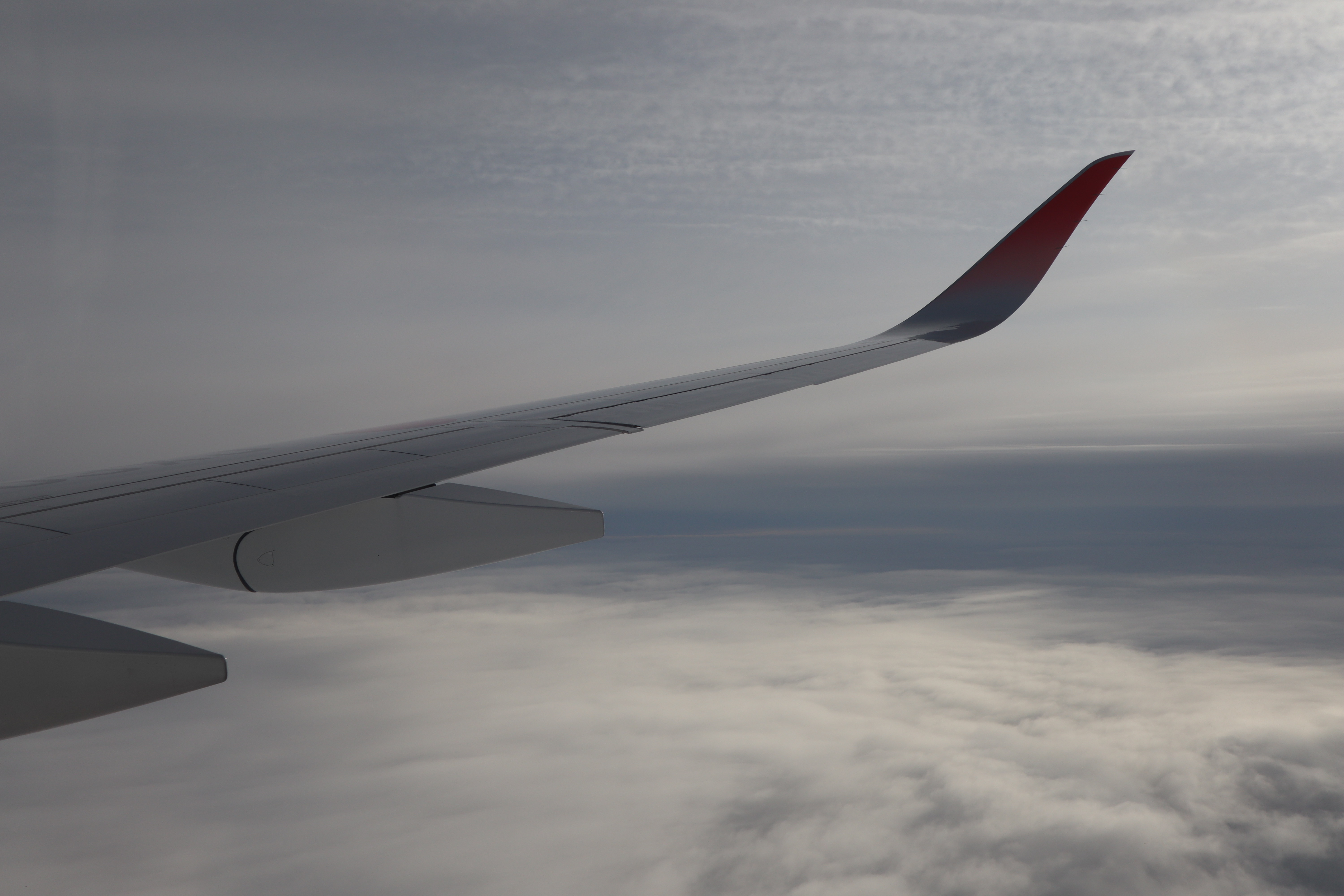 49526756638_78eadb0401_6k.jpg