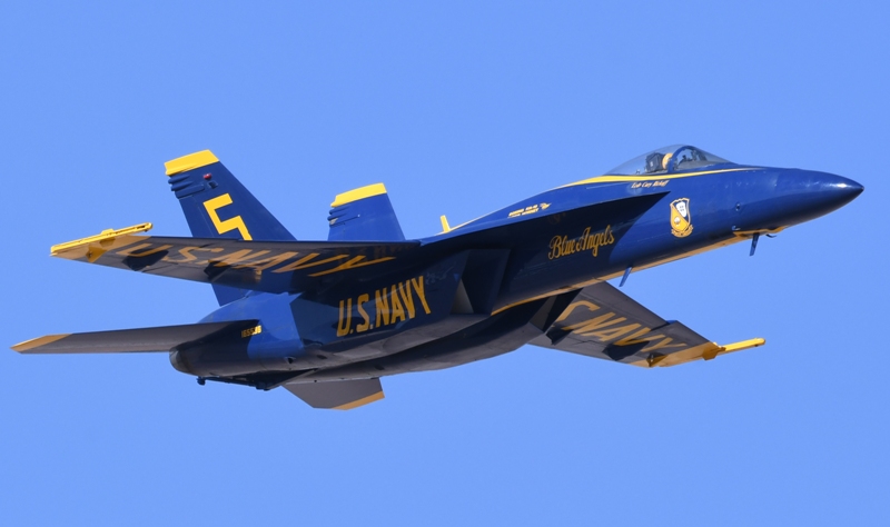 52022596727_d307ff57f3_o.jpg