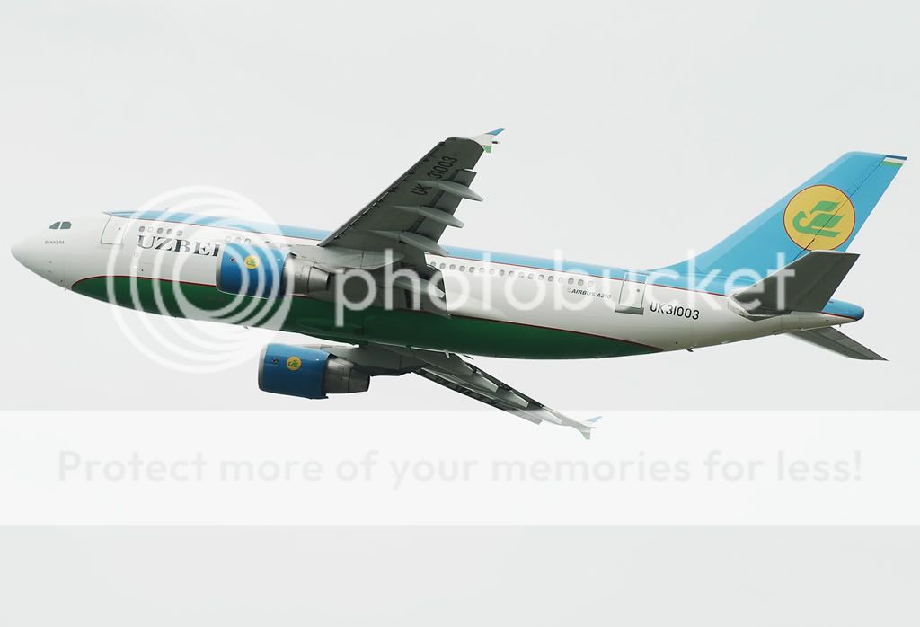 UK31003.jpg