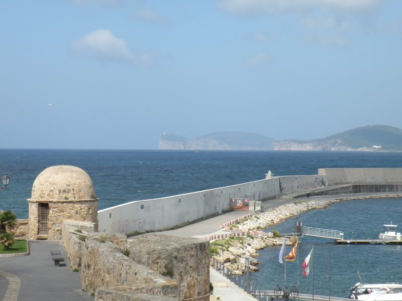 DSCN8305.jpg