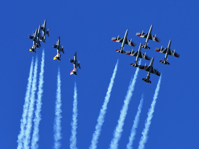 51503460891_64154e2105_c.jpg