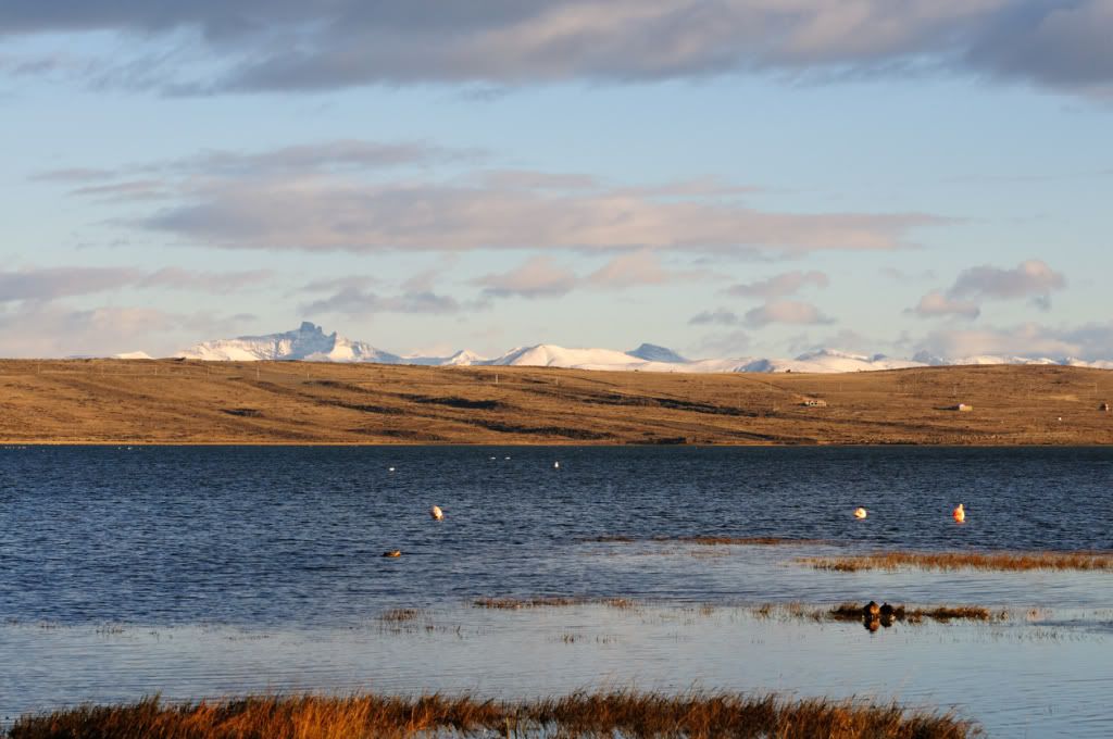 DSC_4069.jpg