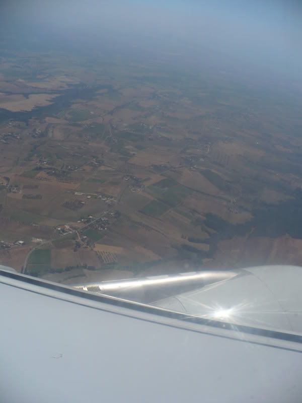 P1020181.jpg