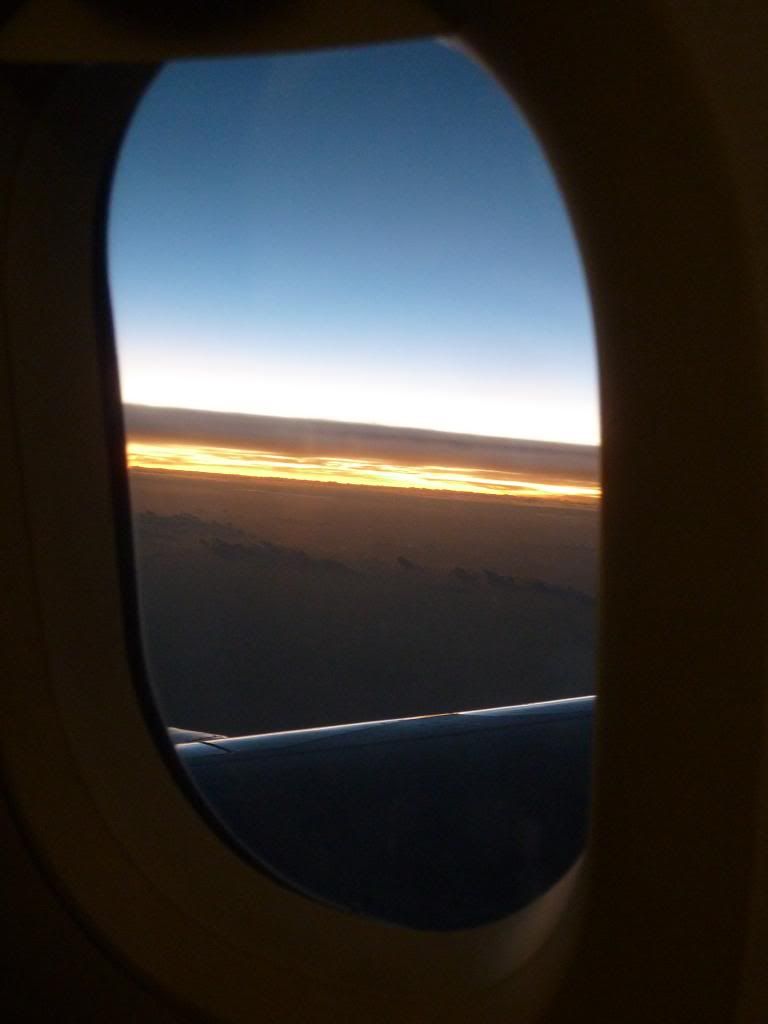 P1190119.jpg