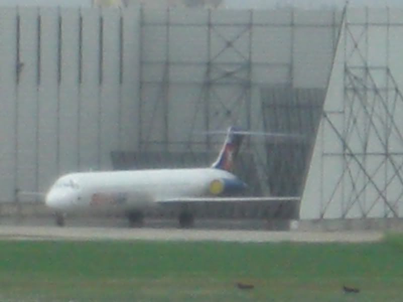 CIMG8417.jpg