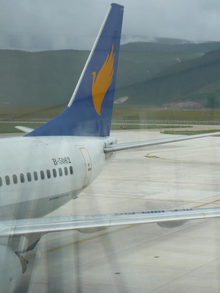P1010381.jpg