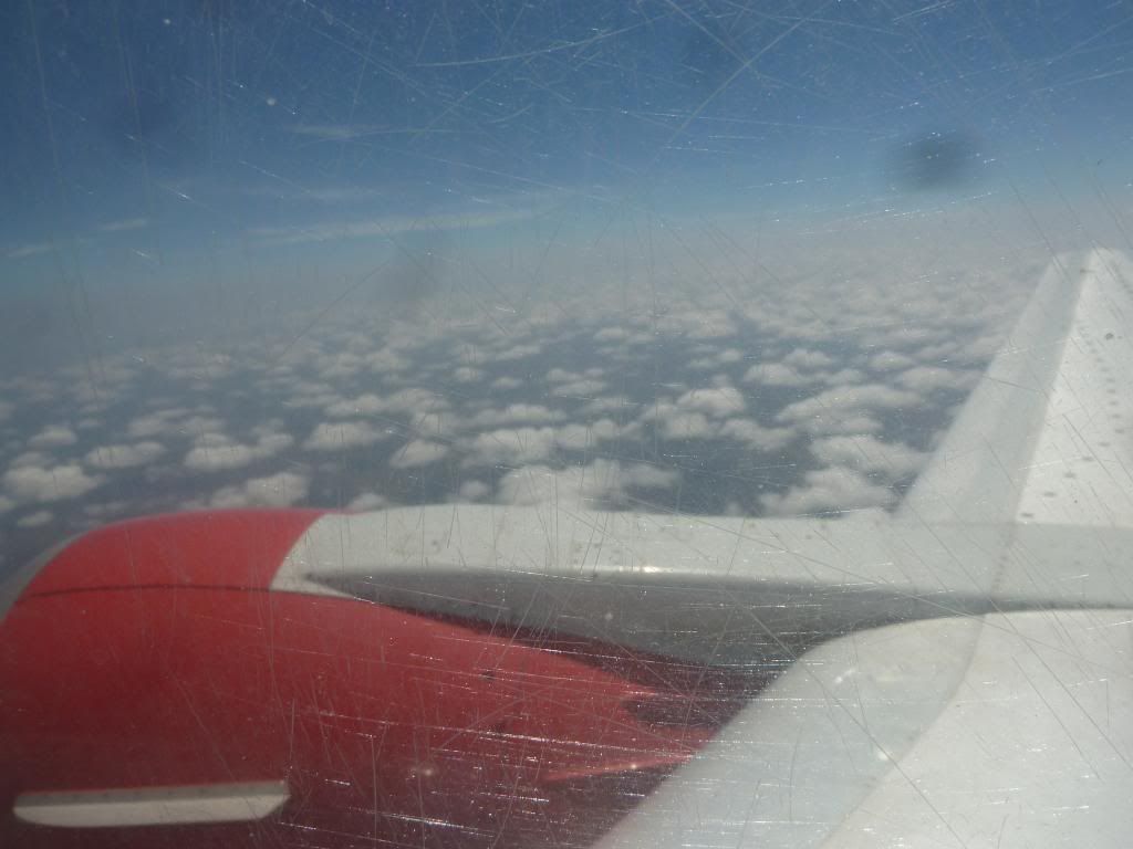 P1180886.jpg