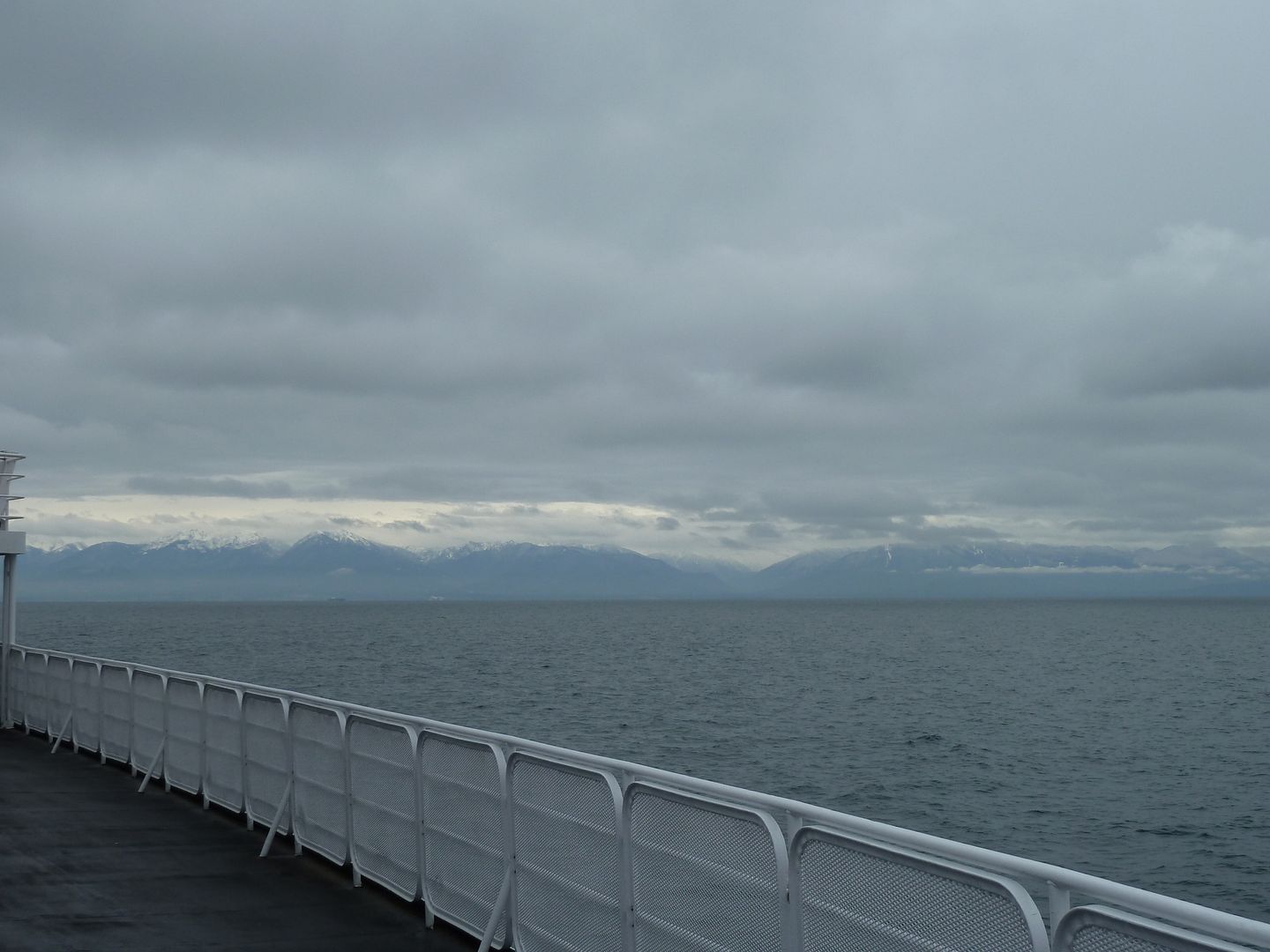 P1020105.jpg