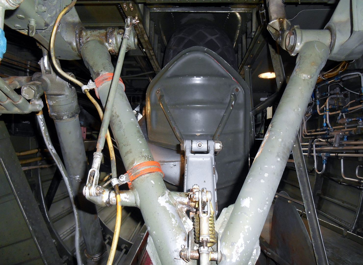 DSCN0733_zpssf7c65cv.jpg