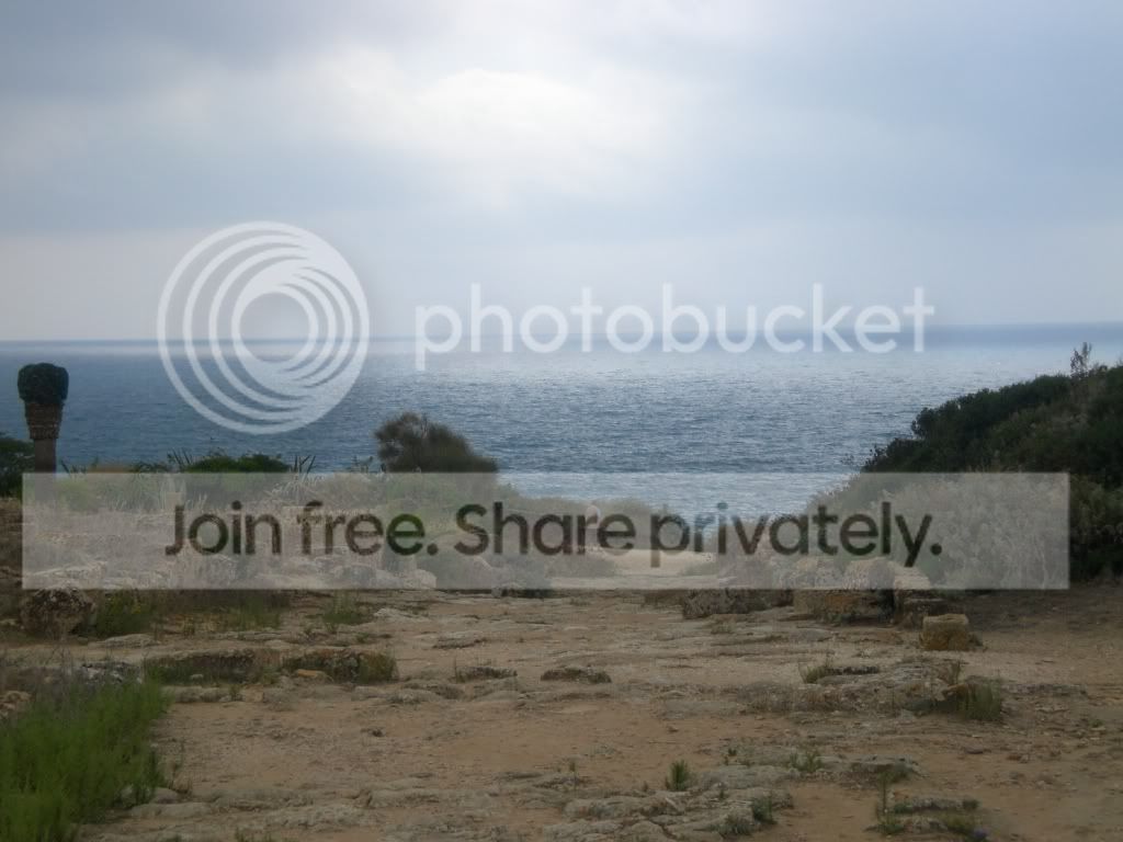 resized_Trapani274.jpg