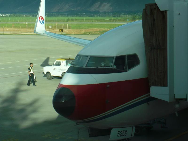 P1000987.jpg