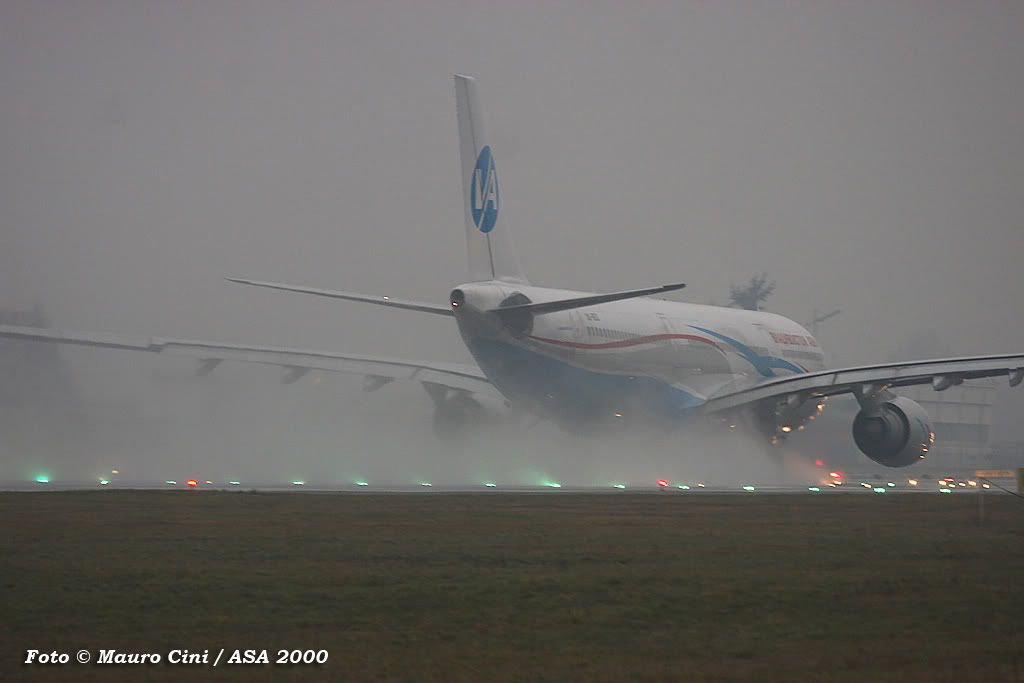 4TRN10012011BymauroCini.jpg