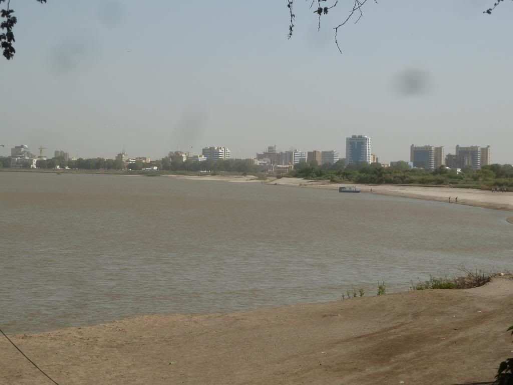 P1190008.jpg